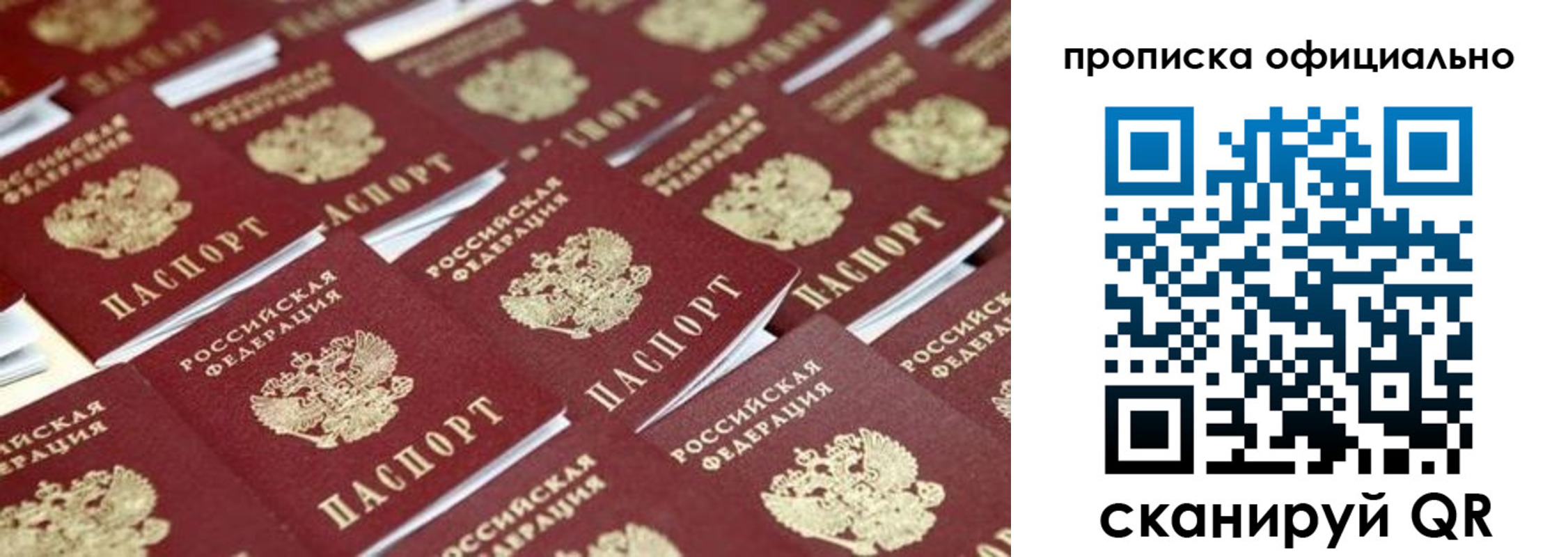 прописка гарантия в Протвино